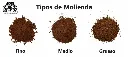 Molienda.webp